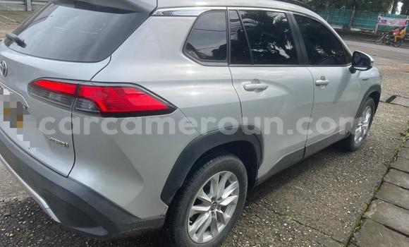 Buy Used Toyota Corolla Cross Silver Car in Douala in Littoral Cameroon Buy Used Toyota Corolla Cross Silver Car in Douala in Littoral Cameroon