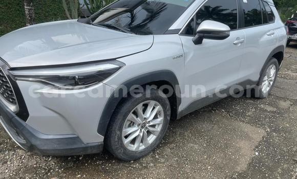 Buy Used Toyota Corolla Cross Silver Car in Douala in Littoral Cameroon Buy Used Toyota Corolla Cross Silver Car in Douala in Littoral Cameroon