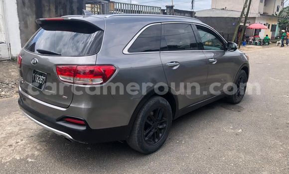 Acheter Occasion Voiture Kia Sorento Gris à Douala, Littoral Cameroon Acheter Occasion Voiture Kia Sorento Gris à Douala, Littoral Cameroon