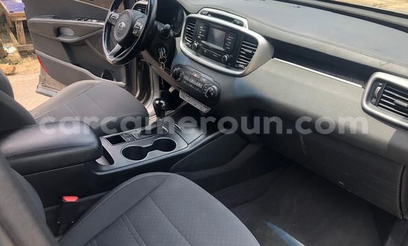 Acheter Occasion Voiture Kia Sorento Gris à Douala, Littoral Cameroon Acheter Occasion Voiture Kia Sorento Gris à Douala, Littoral Cameroon