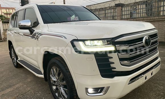 Buy New Toyota Land Cruiser White Car in Douala in Littoral Cameroon