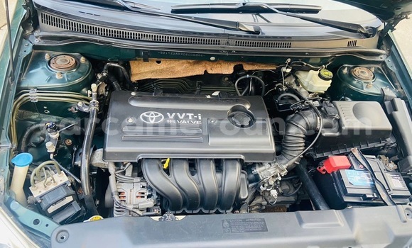 Sayi Sabo Toyota Corolla Green Mota in Douala a Ƙasar Kamaru Sayi Sabo Toyota Corolla Green Mota in Douala a Ƙasar Kamaru