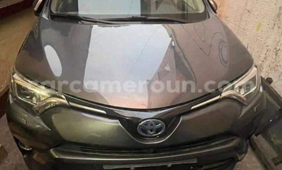 Buy New Toyota RAV4 Other Car in Yaounde in Central Cameroon