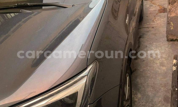 Buy New Toyota RAV4 Other Car in Yaounde in Central Cameroon Buy New Toyota RAV4 Other Car in Yaounde in Central Cameroon