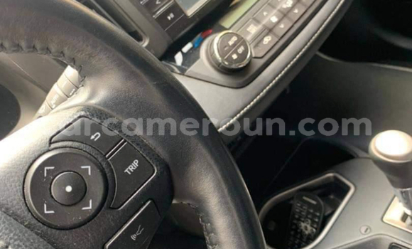 Buy New Toyota RAV4 Other Car in Yaounde in Central Cameroon Buy New Toyota RAV4 Other Car in Yaounde in Central Cameroon