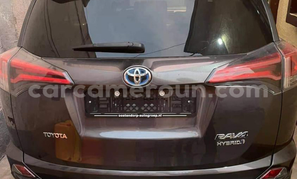Buy New Toyota RAV4 Other Car in Yaounde in Central Cameroon Buy New Toyota RAV4 Other Car in Yaounde in Central Cameroon
