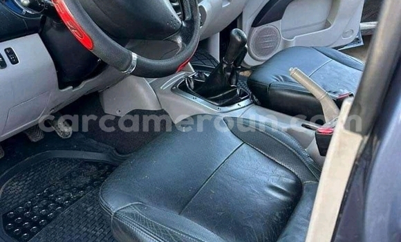 Acheter Import Voiture Mitsubishi L200 Gris à Douala, Littoral Cameroon