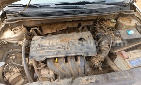 Acheter Occasion Voiture Toyota Corolla Gris à Douala, Littoral Cameroon Acheter Occasion Voiture Toyota Corolla Gris à Douala, Littoral Cameroon