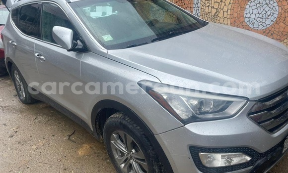 Buy Import Hyundai Santa Fe Silver Car in Douala in Littoral Cameroon