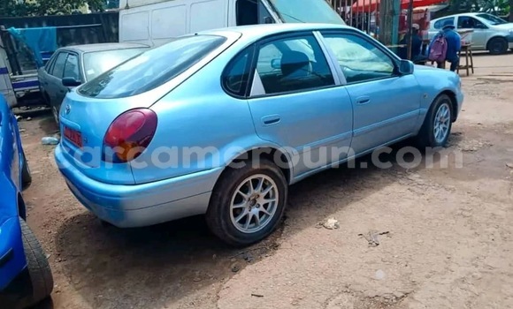 Buy Used Toyota Corolla Other Car in Yaounde in Central Cameroon