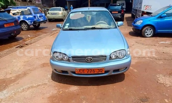 Buy Used Toyota Corolla Other Car in Yaounde in Central Cameroon Buy Used Toyota Corolla Other Car in Yaounde in Central Cameroon