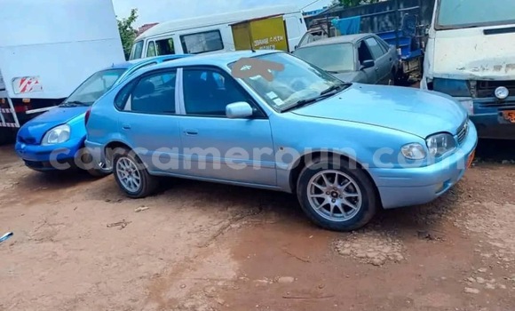 Buy Used Toyota Corolla Other Car in Yaounde in Central Cameroon Buy Used Toyota Corolla Other Car in Yaounde in Central Cameroon