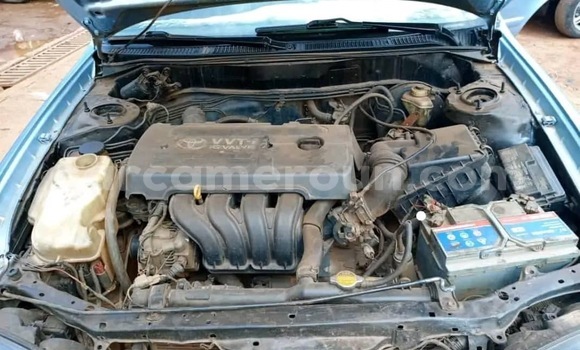 Buy Used Toyota Corolla Other Car in Yaounde in Central Cameroon Buy Used Toyota Corolla Other Car in Yaounde in Central Cameroon