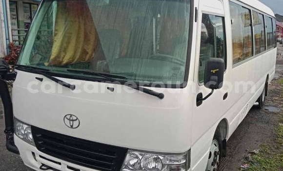Buy Import Toyota Coaster White Car in Douala in Littoral Cameroon