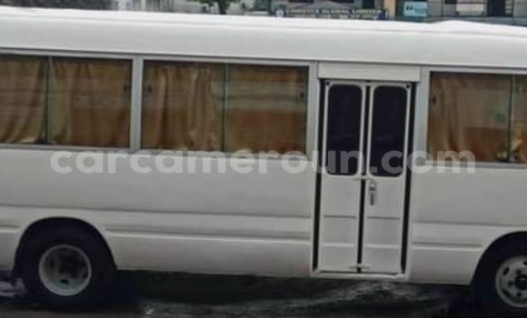 Buy Import Toyota Coaster White Car in Douala in Littoral Cameroon Buy Import Toyota Coaster White Car in Douala in Littoral Cameroon