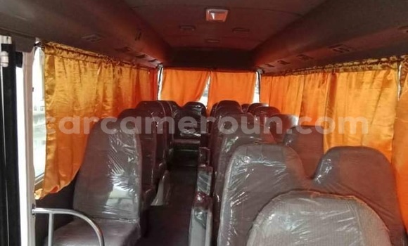 Buy Import Toyota Coaster White Car in Douala in Littoral Cameroon Buy Import Toyota Coaster White Car in Douala in Littoral Cameroon