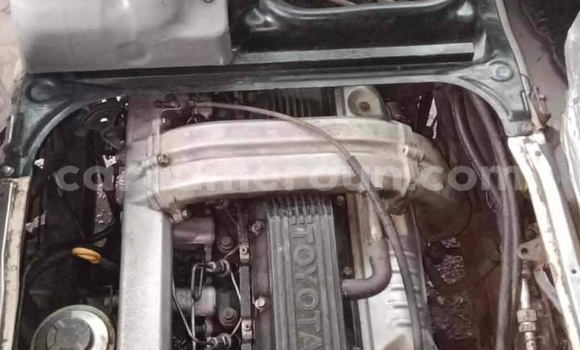 Buy Import Toyota Coaster White Car in Douala in Littoral Cameroon Buy Import Toyota Coaster White Car in Douala in Littoral Cameroon