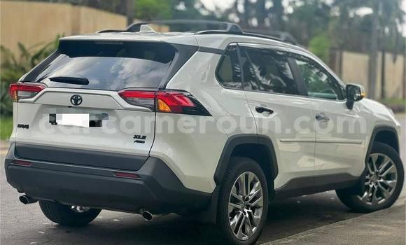 Buy New Toyota RAV4 White Car in Yaounde in Central Cameroon Buy New Toyota RAV4 White Car in Yaounde in Central Cameroon