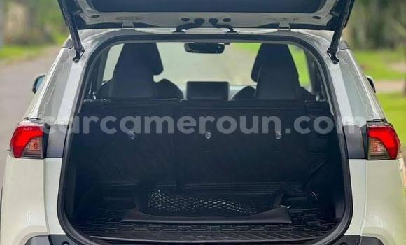 Buy New Toyota RAV4 White Car in Yaounde in Central Cameroon Buy New Toyota RAV4 White Car in Yaounde in Central Cameroon