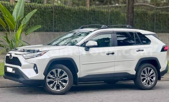 Buy New Toyota RAV4 White Car in Yaounde in Central Cameroon Buy New Toyota RAV4 White Car in Yaounde in Central Cameroon