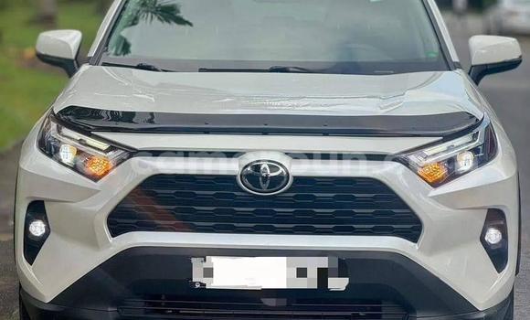 Buy New Toyota RAV4 White Car in Yaounde in Central Cameroon Buy New Toyota RAV4 White Car in Yaounde in Central Cameroon