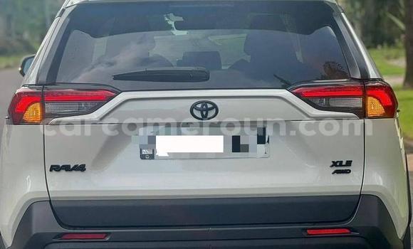 Buy New Toyota RAV4 White Car in Yaounde in Central Cameroon Buy New Toyota RAV4 White Car in Yaounde in Central Cameroon