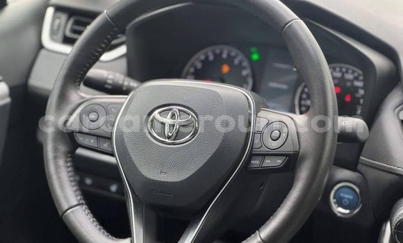 Buy New Toyota RAV4 White Car in Yaounde in Central Cameroon Buy New Toyota RAV4 White Car in Yaounde in Central Cameroon