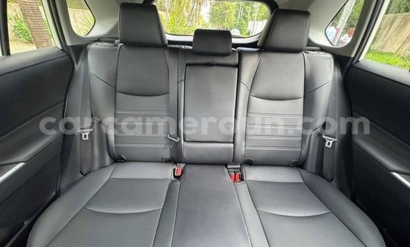 Buy New Toyota RAV4 White Car in Yaounde in Central Cameroon Buy New Toyota RAV4 White Car in Yaounde in Central Cameroon