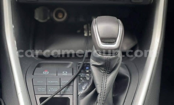 Buy New Toyota RAV4 White Car in Yaounde in Central Cameroon Buy New Toyota RAV4 White Car in Yaounde in Central Cameroon