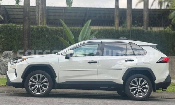 Buy New Toyota RAV4 White Car in Yaounde in Central Cameroon Buy New Toyota RAV4 White Car in Yaounde in Central Cameroon
