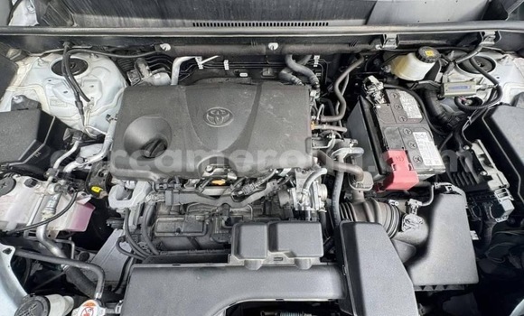 Buy New Toyota RAV4 White Car in Yaounde in Central Cameroon Buy New Toyota RAV4 White Car in Yaounde in Central Cameroon
