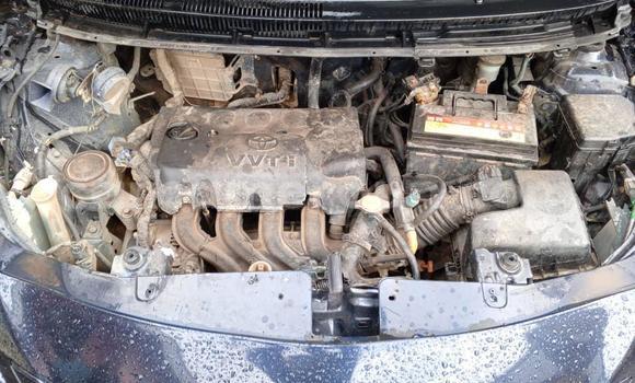 Buy Used Toyota Yaris Blue Car in Douala in Littoral Cameroon Buy Used Toyota Yaris Blue Car in Douala in Littoral Cameroon