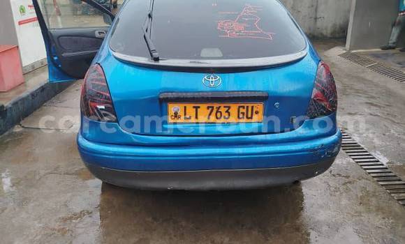 Acheter Occasion Voiture Toyota Corolla Bleu à Bangangté, West Cameroon Acheter Occasion Voiture Toyota Corolla Bleu à Bangangté, West Cameroon