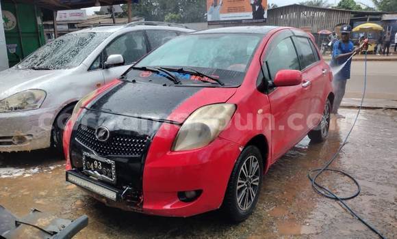 Buy Used Toyota Vitz Red Car in Douala in Littoral Cameroon