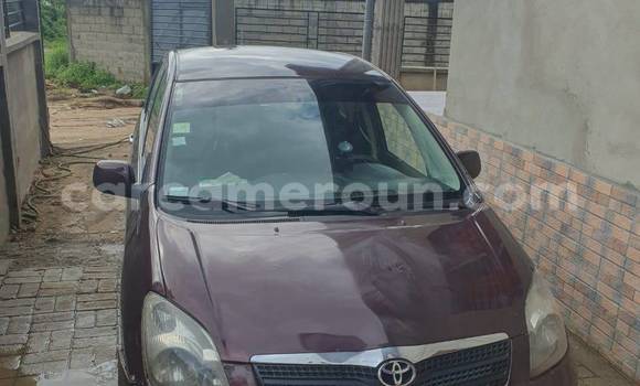 Acheter Occasion Voiture Toyota Corolla Verso Autre à Douala, Littoral Cameroon Acheter Occasion Voiture Toyota Corolla Verso Autre à Douala, Littoral Cameroon