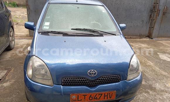 Buy Used Toyota Yaris Blue Car in Douala in Littoral Cameroon