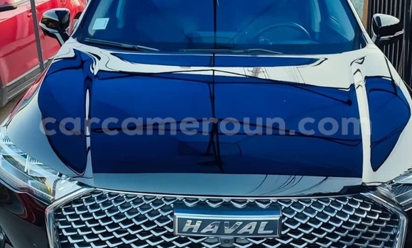 Buy New Haval H6 White Car in Yaounde in Central Cameroon Buy New Haval H6 White Car in Yaounde in Central Cameroon