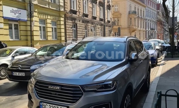 Buy New Haval H6 White Car in Yaounde in Central Cameroon Buy New Haval H6 White Car in Yaounde in Central Cameroon