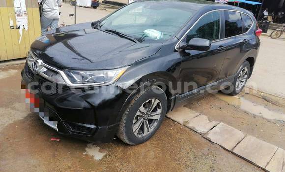Buy Used Honda CR–V Black Car in Douala in Littoral Cameroon