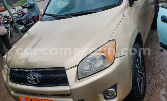 Buy Used Toyota RAV4 Other Car in Douala in Littoral Cameroon