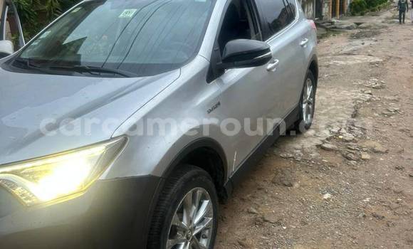 Acheter Occasion Voiture Toyota RAV4 Autre à Douala, Littoral Cameroon