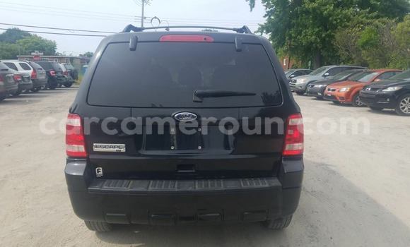 Acheter Occasion Voiture Ford Escape Noir à Yaoundé, Central Cameroon Acheter Occasion Voiture Ford Escape Noir à Yaoundé, Central Cameroon
