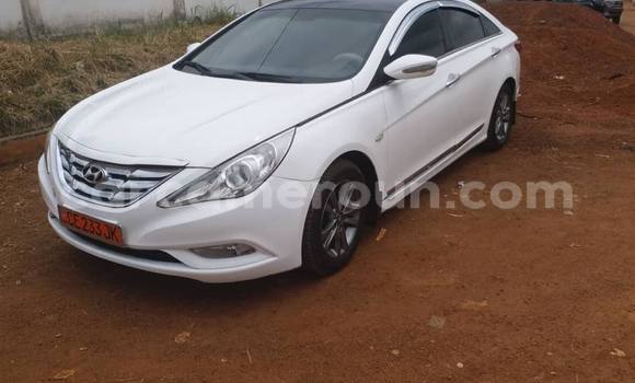 Sayi Na hannu Hyundai Sonata White Mota in Yaounde a Babban Kamaru