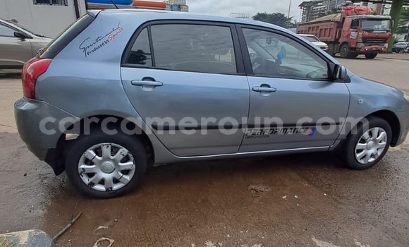 Buy New Toyota Corolla Other Car in Douala in Littoral Cameroon