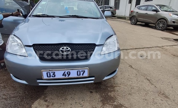 Acheter Neuf Voiture Toyota Corolla Autre à Douala, Littoral Cameroon Acheter Neuf Voiture Toyota Corolla Autre à Douala, Littoral Cameroon