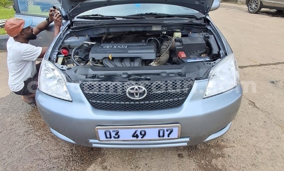 Acheter Neuf Voiture Toyota Corolla Autre à Douala, Littoral Cameroon Acheter Neuf Voiture Toyota Corolla Autre à Douala, Littoral Cameroon
