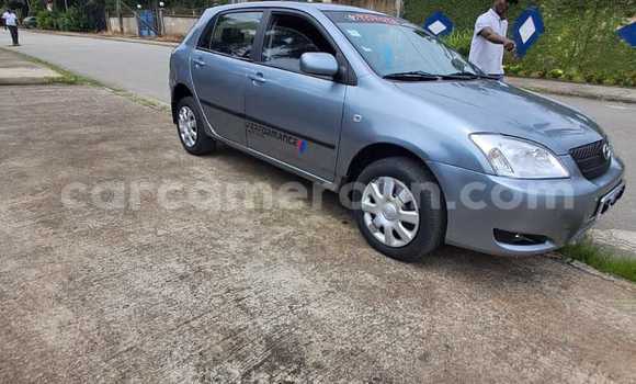 Acheter Occasion Voiture Toyota Corolla Bleu à Douala, Littoral Cameroon Acheter Occasion Voiture Toyota Corolla Bleu à Douala, Littoral Cameroon