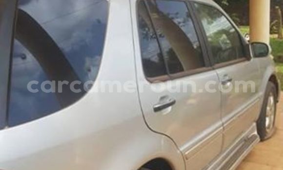 Sayi Na hannu Mercedes‒Benz ML–Class Azurfa Mota in Douala a Ƙasar Kamaru