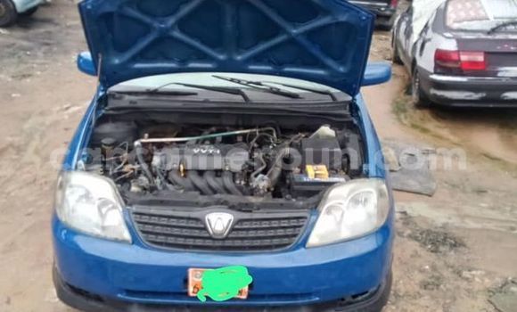 Buy Used Toyota Runx Other Car in Douala in Littoral Cameroon