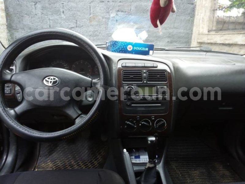 Big with watermark 30629329 194112211393369 244064733525704704 n